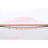 4 Seasons longboard
