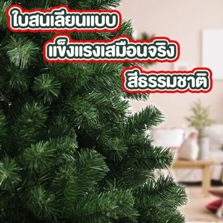 ต้นคริสต์มาส คริสต์มาส สีเขียว