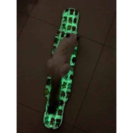 Meow All Longboard