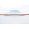 4 Seasons longboard