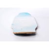 4 Seasons longboard