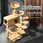 คอนโดแมว 135cm รุ่นขั้นบันได