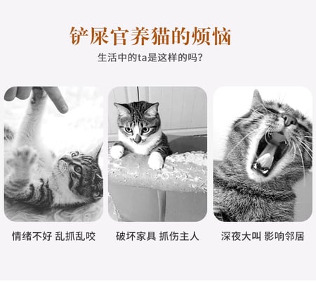 คอนโดแมว คอนโดแมวแบบไม้ มินิมอล