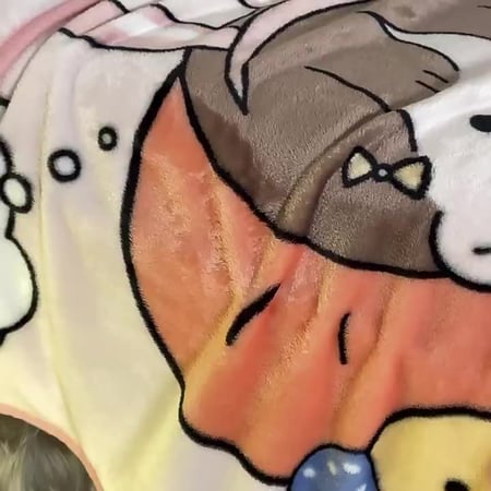 ผ้าห่มนาโน ผ้าห่มสำหรับเด็ก ลายการ์ตูนน่ารักสีสันสดใส